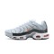 Scarpe Air Max Plus Tn Crater Grigio DA1500-100 Uomo